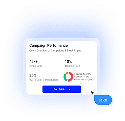 Campaign Performance